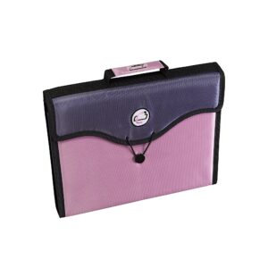 The File Pro | File Organizer